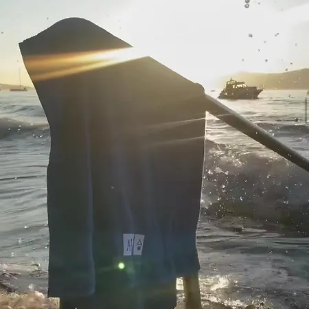 Ai *